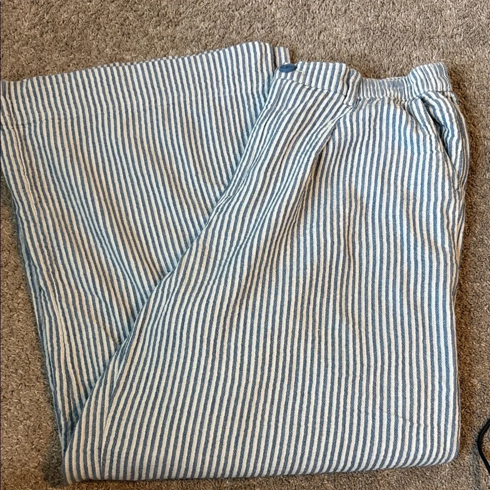 Aerie Blue and White Striped Chinos - Picture 1 of 5
